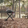 Kép 8/8 - Weber Traveler Compact hordozható gázgrill