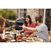 Kép 7/17 - Weber Q3200N gázgrill gurulós állvánnyal