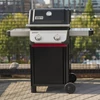 Kép 4/11 - Weber Spirit E-210 gázgrill