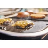 Kép 4/5 - Weber Lumin Compact plancha grill lap