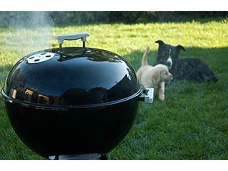 Milyen grillt válasszak? Épített kerti grill, vagy mobil grillsütő?
